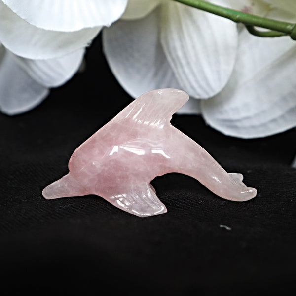 Rose Quartz Dolphin