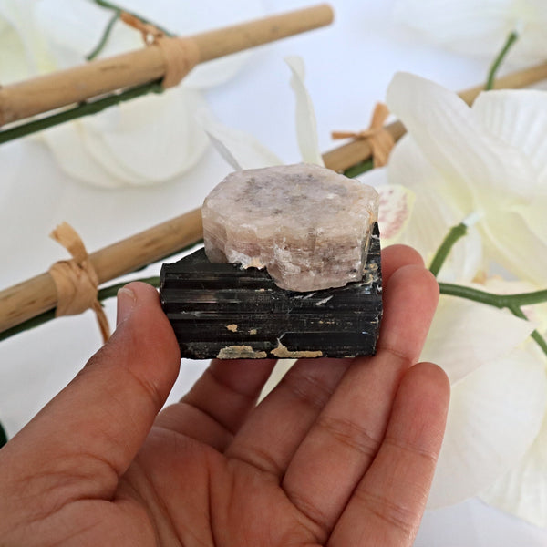 Morganite on Black Tourmaline Crystal Mineral Specimen