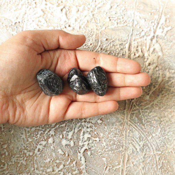 Black Tourmaline Palm Stones (Set of 3): EMF Protector, Root Chakra Crystal