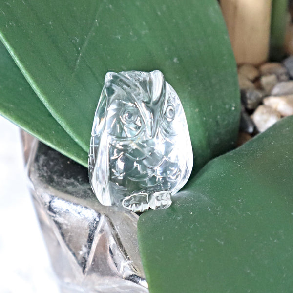 Clear Crystal Quartz Owl Feng Shui Gift for Home Decor wisdom and success