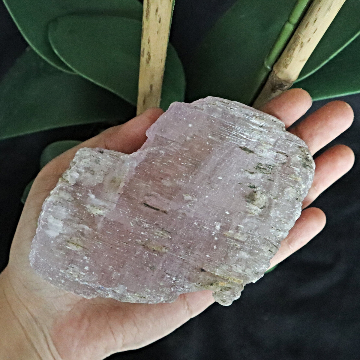 Large Raw Pink Kunzite Crystal Specimen, Natural Free Form