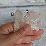 Natural Pink Kunzite Crystal Specimen, Spodumene