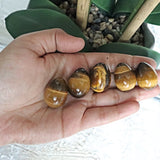 Tiger Eye Stone Egg: Natural Reiki Healing Crystal (25mm)