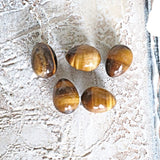 Tiger Eye Stone Egg: Natural Reiki Healing Crystal (25mm)