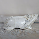 White Howlite Frog Green Crystal Frog for Wealth Abundance Lucky Stone