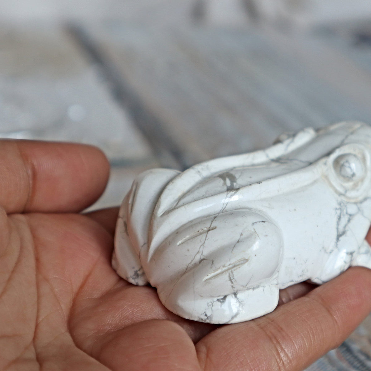 White Howlite Frog Green Crystal Frog for Wealth Abundance Lucky Stone