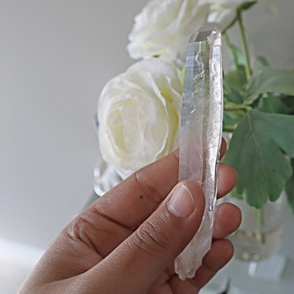 Raw Lemurian Seed Crystal Point: Brazil Quartz (4.2 Inches)
