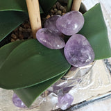 Amethyst Palm Stone: Free Form Massage & Pocket Stone