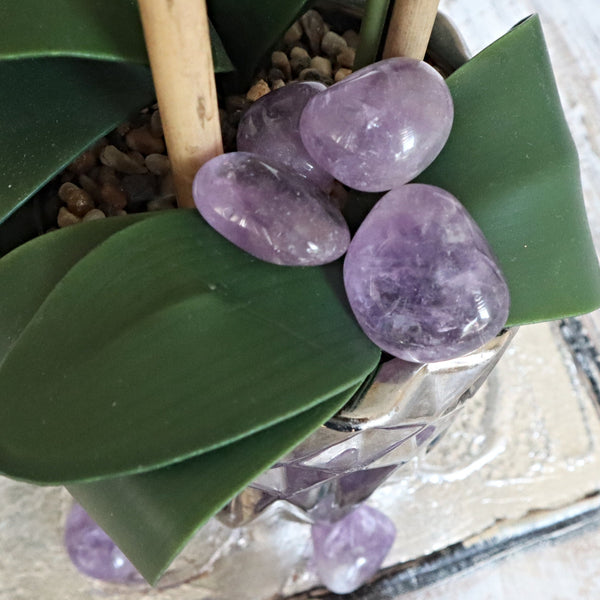 Amethyst Palm Stone: Free Form Massage & Pocket Stone
