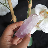 Raw Pink Kunzite Crystal Specimen: Natural Untreated Gemstone