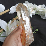 Large Himalayan Quartz Crystal with Iron Oxide - 6.75 Inches