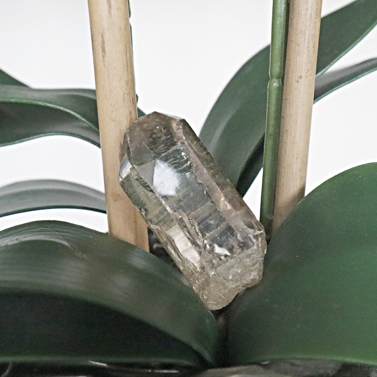 Himalayan Smoky Quartz Crystal Point: Gem Grade Healing Stone (56mm)