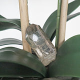 Himalayan Smoky Quartz Crystal Point: Gem Grade Healing Stone (56mm)