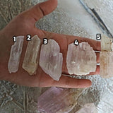 Natural Pink Kunzite Crystal Specimen, Spodumene