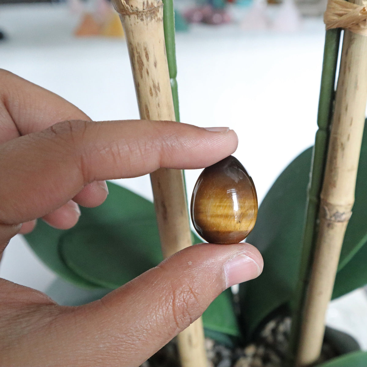 Tiger Eye Stone Egg: Natural Reiki Healing Crystal (25mm)