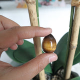Tiger Eye Stone Egg: Natural Reiki Healing Crystal (25mm)