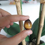 Tiger Eye Stone Egg: Natural Reiki Healing Crystal (25mm)