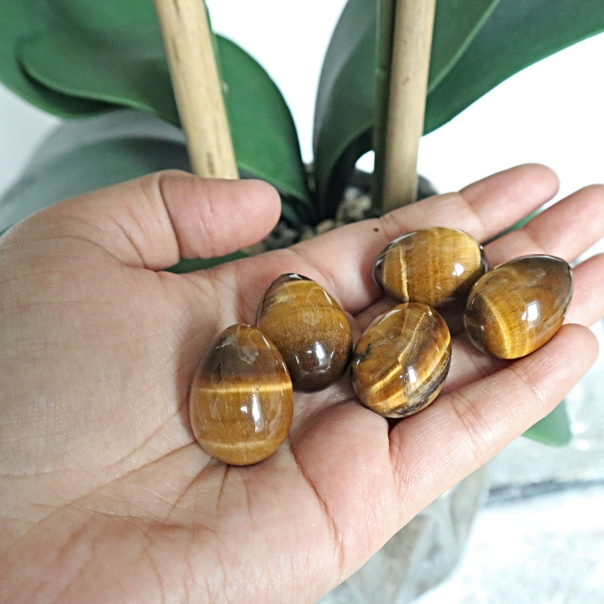 Tiger Eye Stone Egg: Natural Reiki Healing Crystal (25mm)