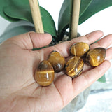 Tiger Eye Stone Egg: Natural Reiki Healing Crystal (25mm)