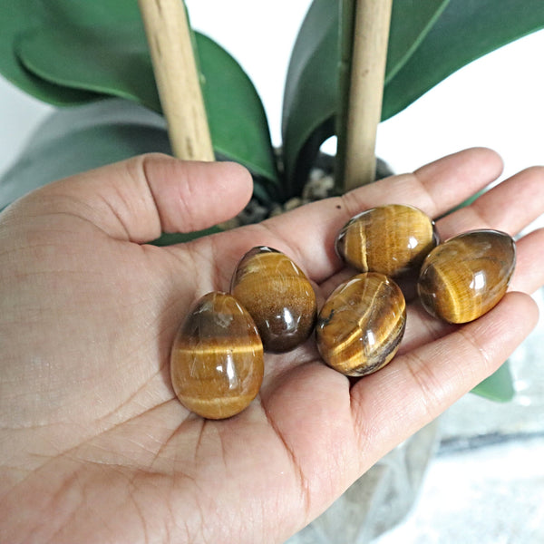 Tiger Eye Stone Egg: Natural Reiki Healing Crystal (25mm)