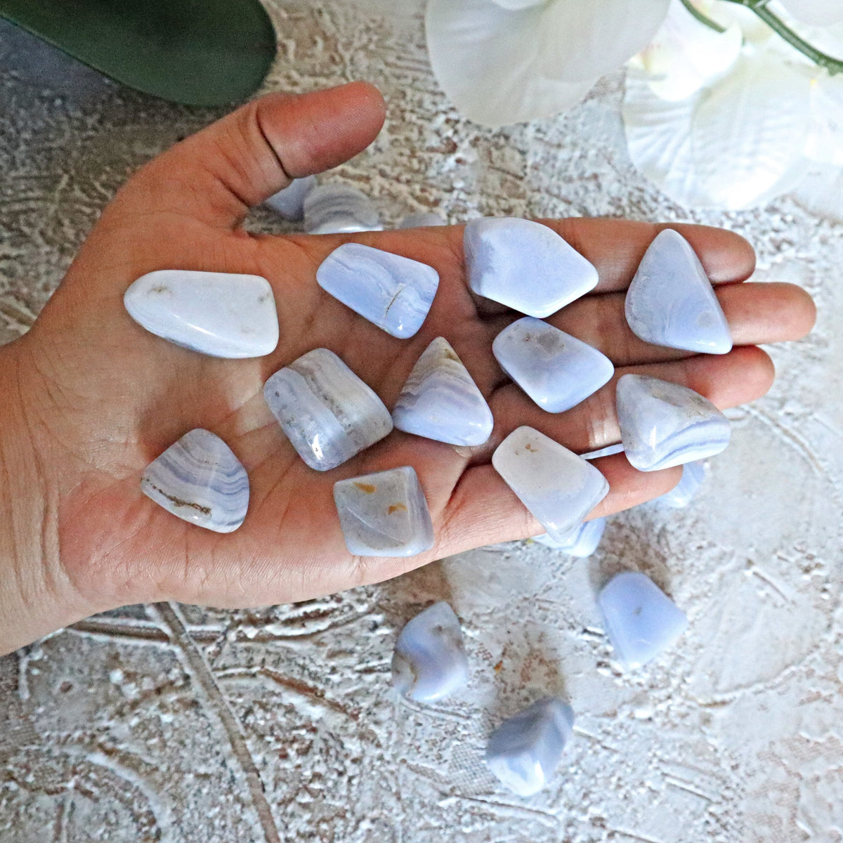 4 Stones Blue Lace Agate Tumbled Stones 30 grams One OZ FREE US Shipping