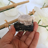 Morganite on Black Tourmaline Crystal Mineral Specimen