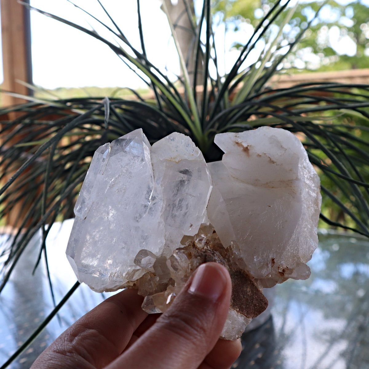 Himalayan Faden Quartz Crystal Cluster, FM7