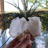 Himalayan Faden Quartz Crystal Cluster, FM7