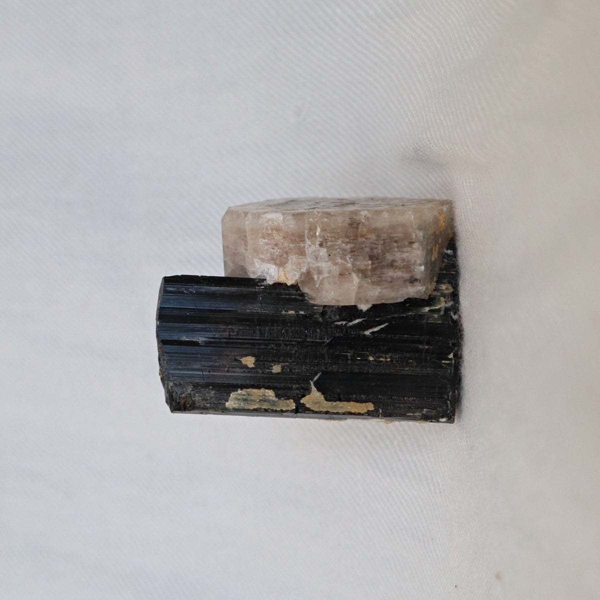 Morganite on Black Tourmaline Crystal Mineral Specimen