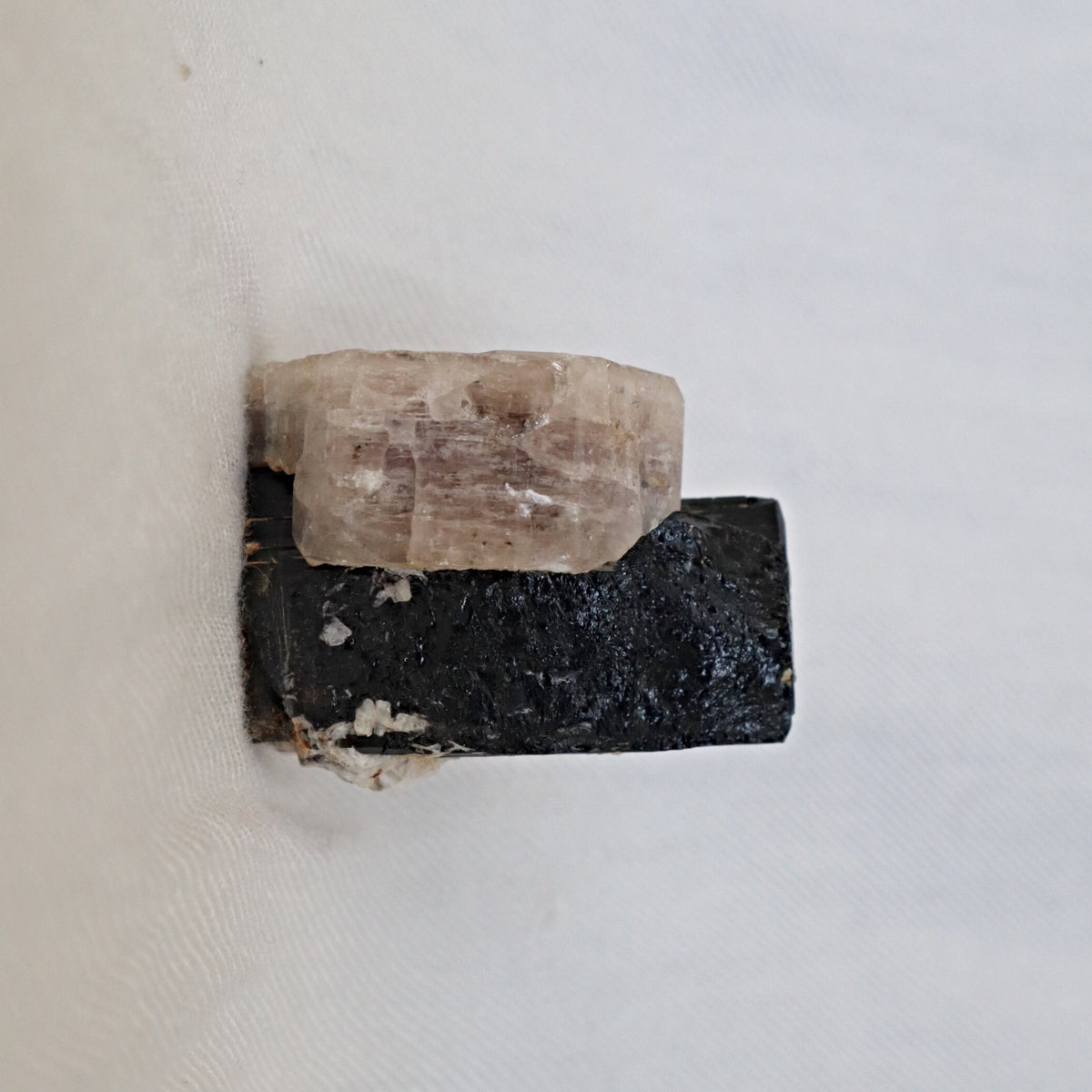 Morganite on Black Tourmaline Crystal Mineral Specimen