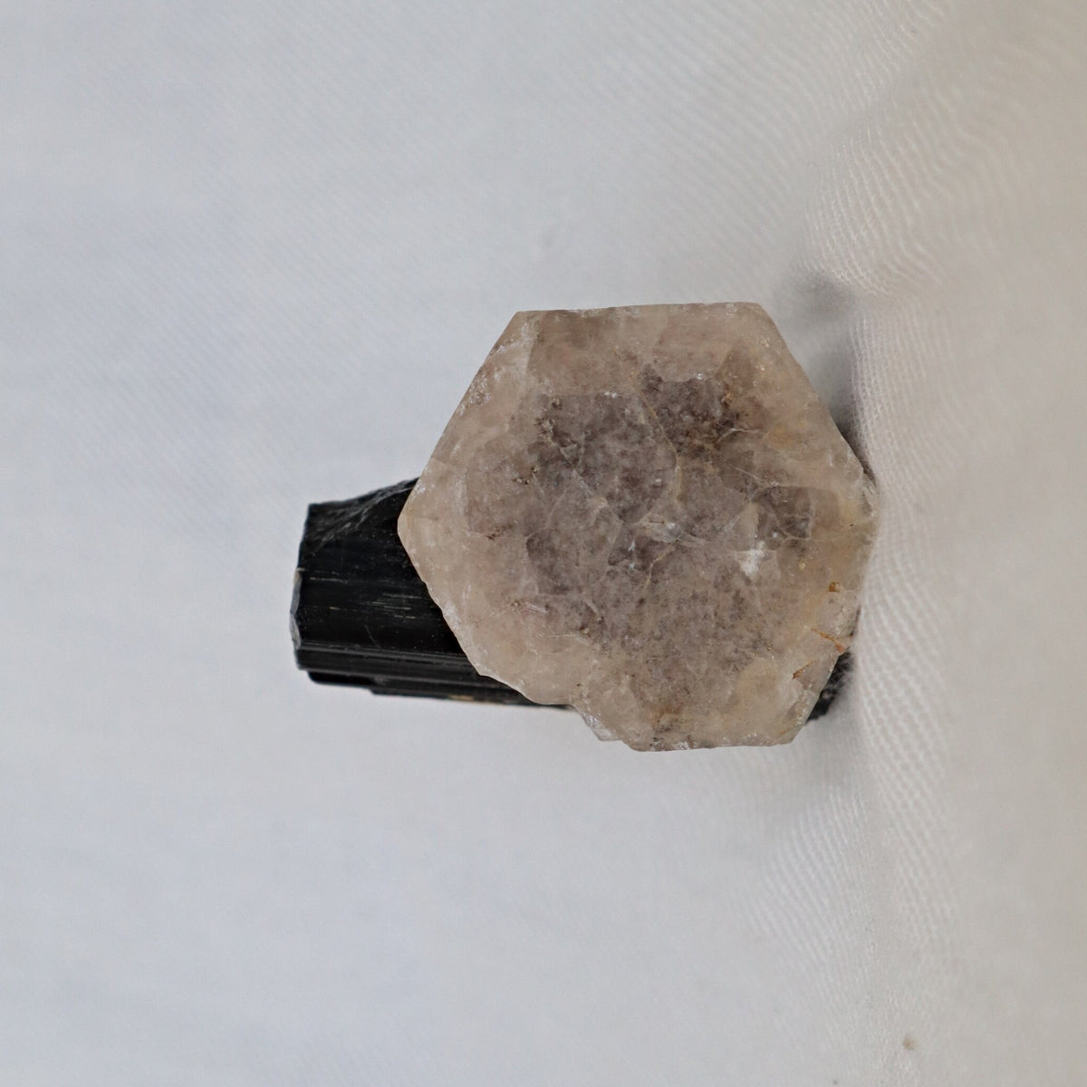 Morganite on Black Tourmaline Crystal Mineral Specimen