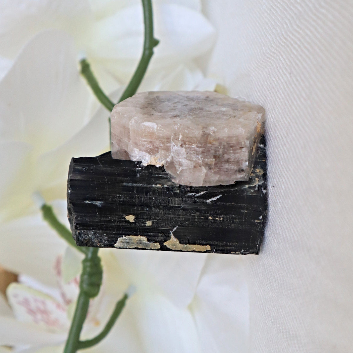 Morganite on Black Tourmaline Crystal Mineral Specimen