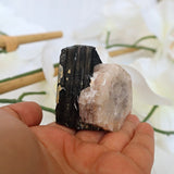 Morganite on Black Tourmaline Crystal Mineral Specimen