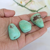 Chrysoprase Stone Large 1.5 inch 30mm Chrysoprase Crystal