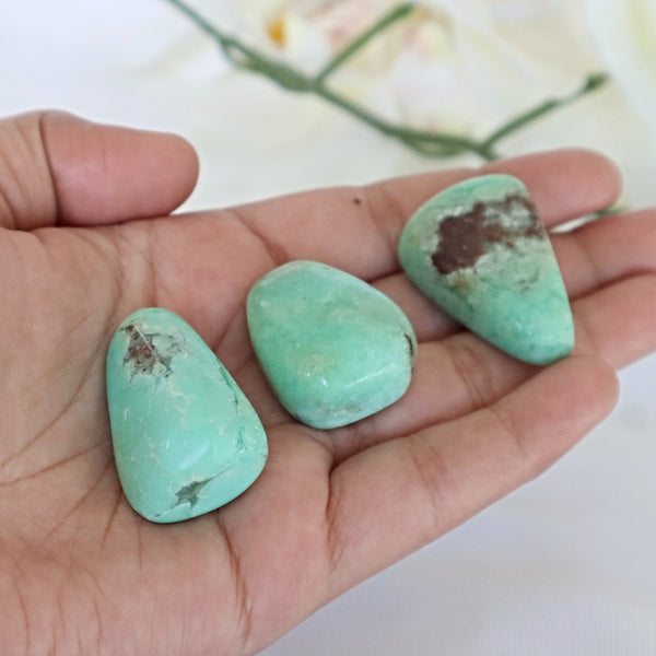 Chrysoprase Stone Large 1.5 inch 30mm Chrysoprase Crystal