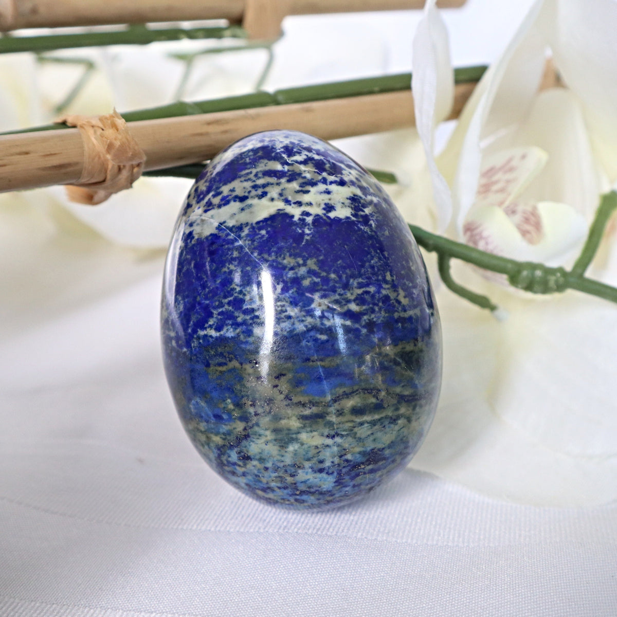 Large Lapis Lazuli egg with golden pyrite flecks on a white background