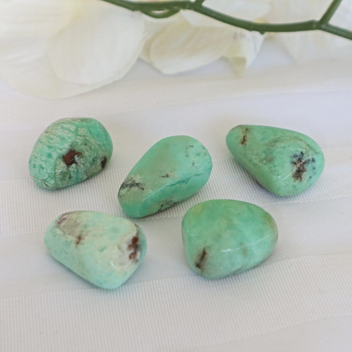 Chrysoprase Stone Large 1.5 inch 30mm Chrysoprase Crystal