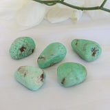 Chrysoprase Stone Large 1.5 inch 30mm Chrysoprase Crystal