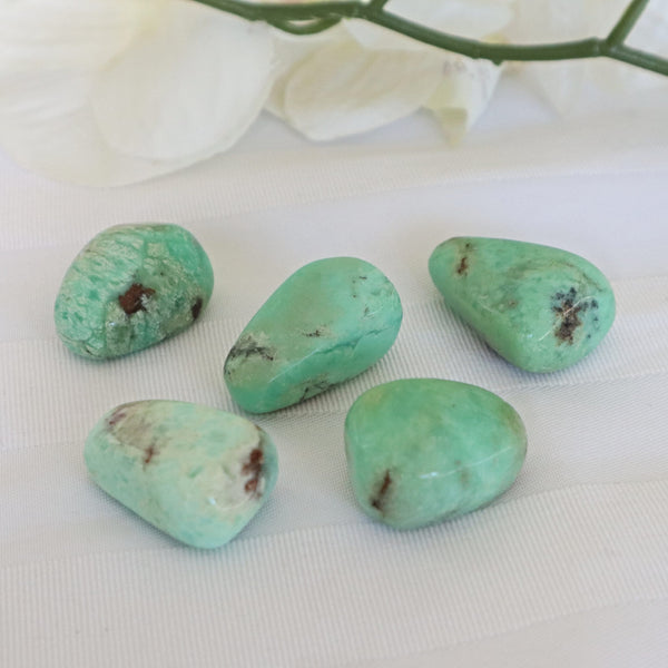 Chrysoprase Stone Large 1.5 inch 30mm Chrysoprase Crystal
