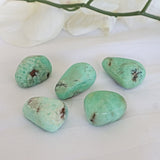 Chrysoprase Stone Large 1.5 inch 30mm Chrysoprase Crystal