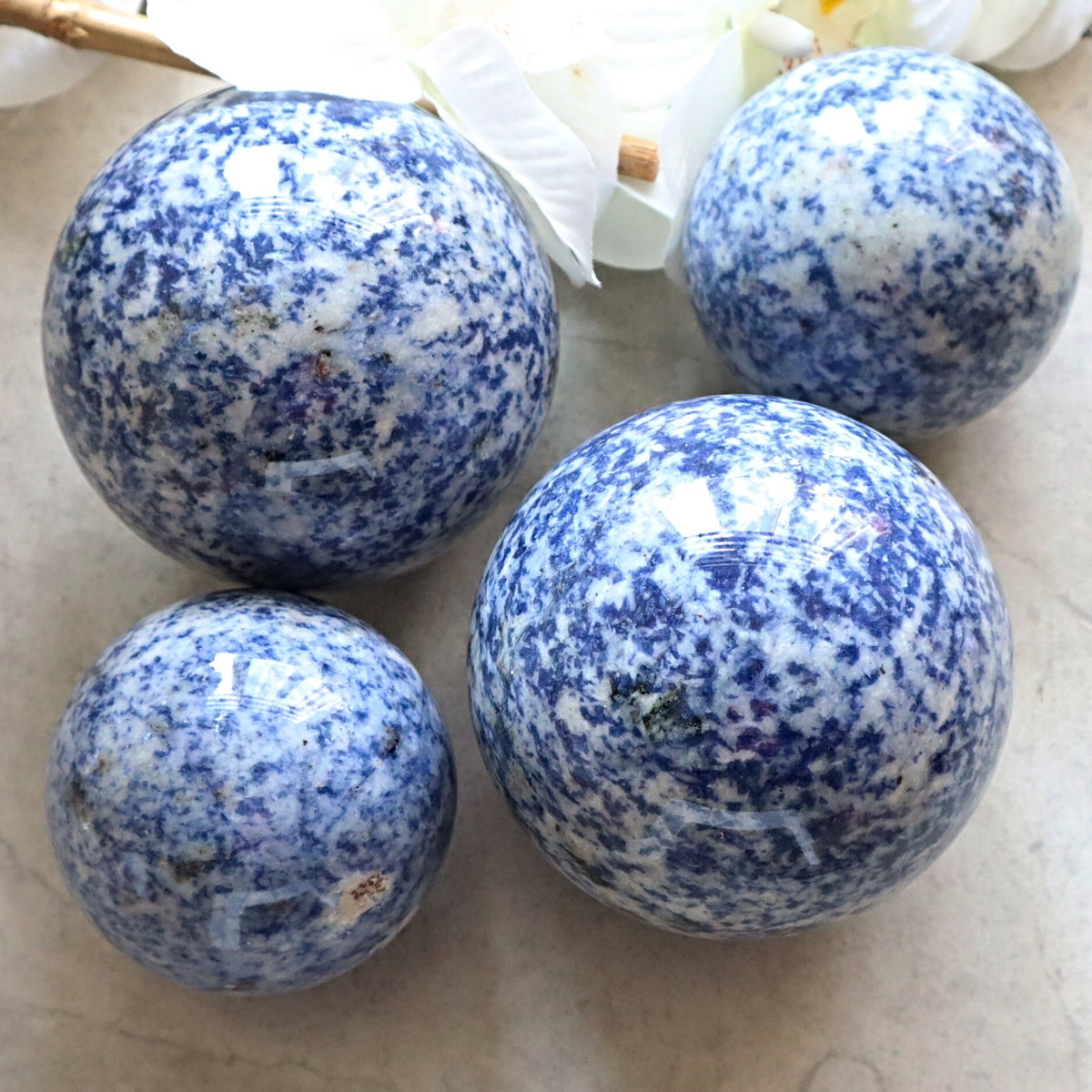 Blue spotted Jasper