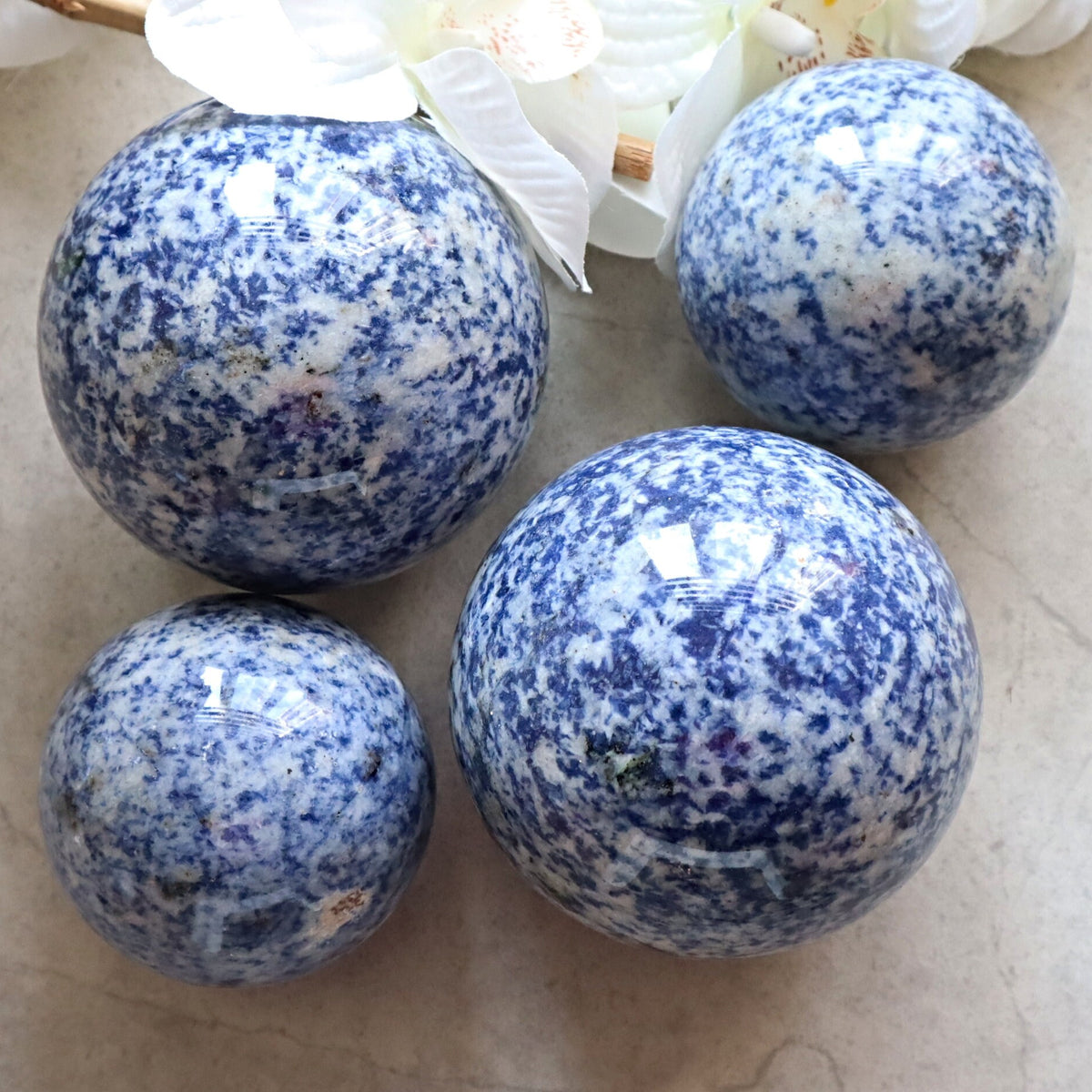 Blue spotted Jasper