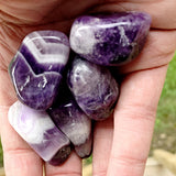 Amethyst Tumble Stone