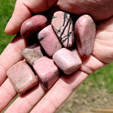 Rhodonite Tumble