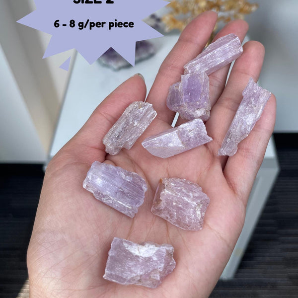 Large Raw Kunzite Crystal | High Vibe Heart Healing Stone | Emotional Support | Collector Specimen | Home Decor | Natural Pink Kunzite