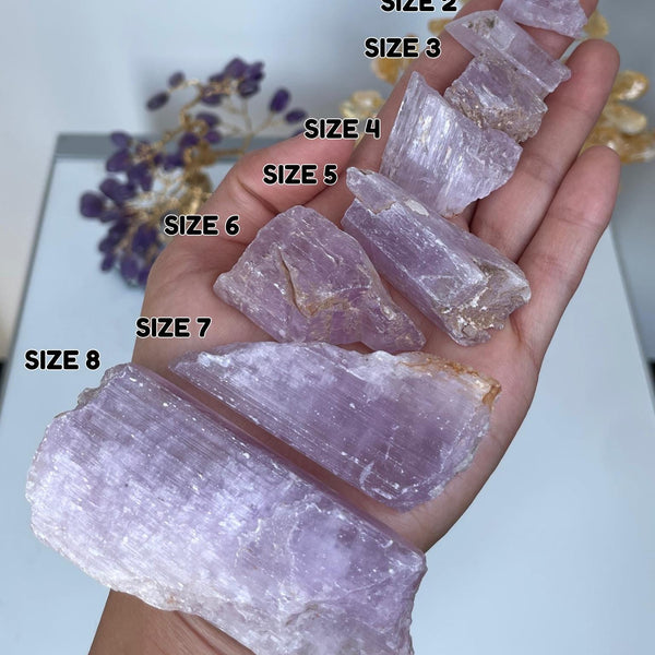 Large Raw Kunzite Crystal | High Vibe Heart Healing Stone | Emotional Support | Collector Specimen | Home Decor | Natural Pink Kunzite