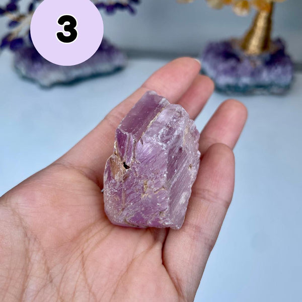 Etched Kunzite Crystal Specimen: Pink Healing Stone, Collector Mineral