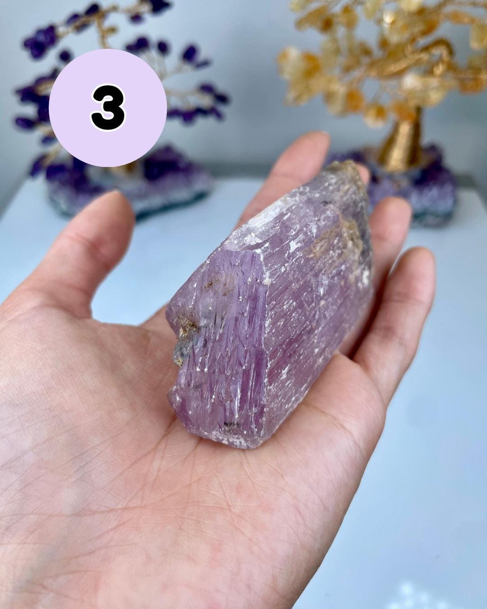 Etched Kunzite Crystal Specimen: Pink Healing Stone, Collector Mineral