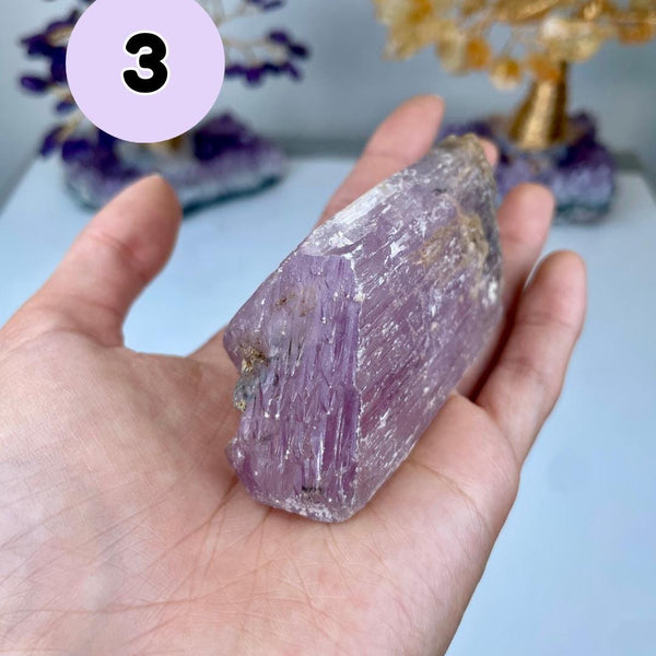 Etched Kunzite Crystal Specimen: Pink Healing Stone, Collector Mineral