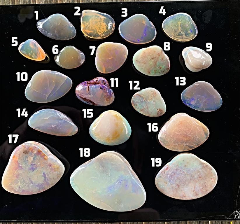 Natural opalized shell fossils from Coober Pedy Australia